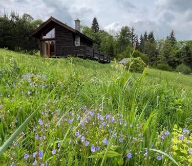 Cisna House | Pod dobrym adresem-domek na łące