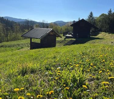 Cisna House | Pod dobrym adresem-domek na łące