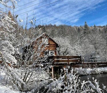 Cisna House | Pod dobrym adresem- domek nad stawem