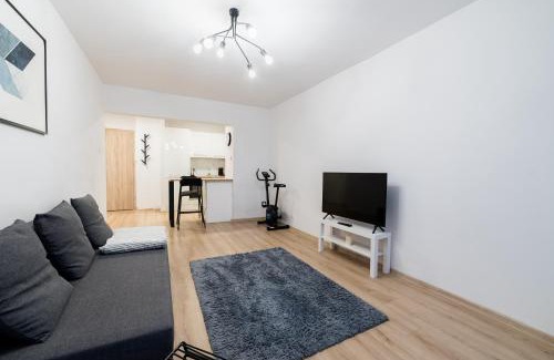 Stare Miasto District Apartment | Pod Lipami Charming Apartment