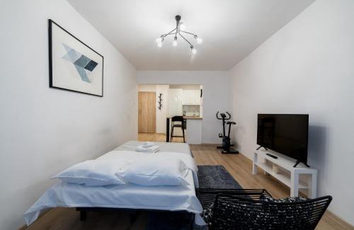 Stare Miasto District Apartment | Pod Lipami Charming Apartment