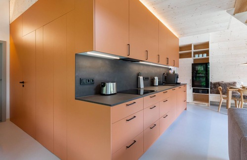 Bily Potok House | Pod Smědavou 1 by Interhome