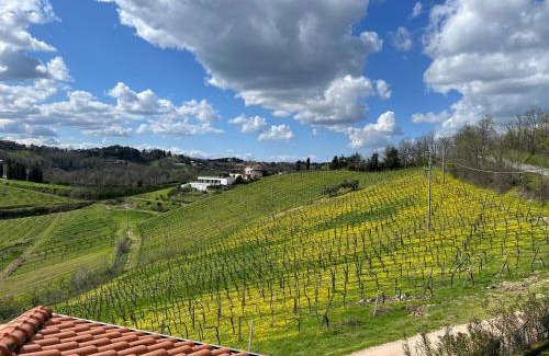 Bertinoro House | Podere Baratta agriturismo e cantina