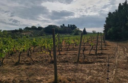 Peccioli House | Podere Borgaruccio