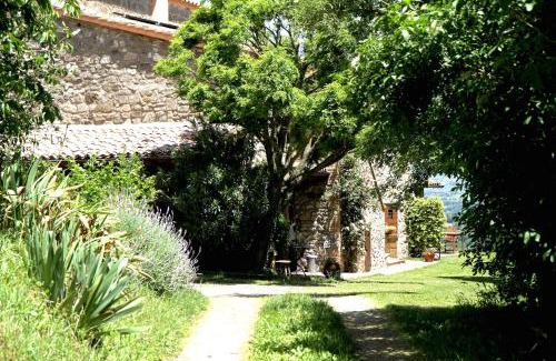 Civitella d'Agliano Apartment | Podere Porcino