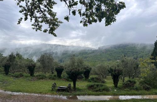 Castellina in Chianti Apartment | Podere Sagna