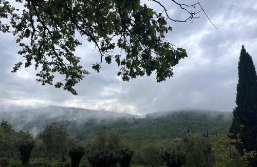 Castellina in Chianti Apartment | Podere Sagna
