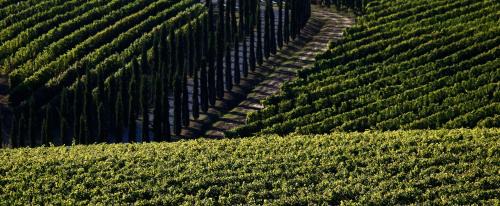 Crespina House | Poggio al Casone