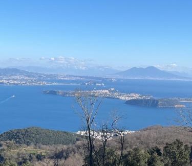 Casamicciola Terme Hotel | Poggio Aragosta Hotel & Spa