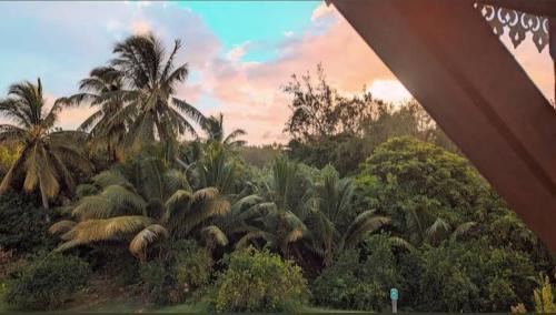 Coromandel House | Poisson d'Or Guest House