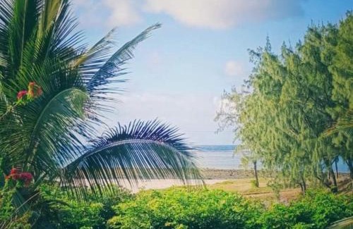 Coromandel House | Poisson d'Or Guest House