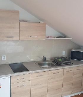 Uhersky Brod Apartment | pokoj s kuchynì pro tři