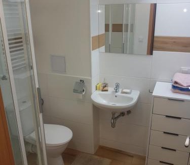 Uhersky Brod Apartment | pokoj s kuchynì pro tři