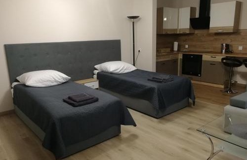 Zamosc Apartment | Pokoje Gościnne Finezja