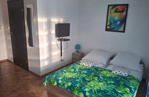 Okuninka Apartment | Pokoje u Ani