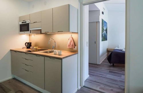 Vihti Apartment | Polku Hotelli