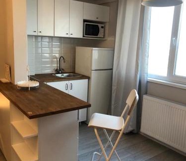 Dudu Apartment | Pollux Bucuresti