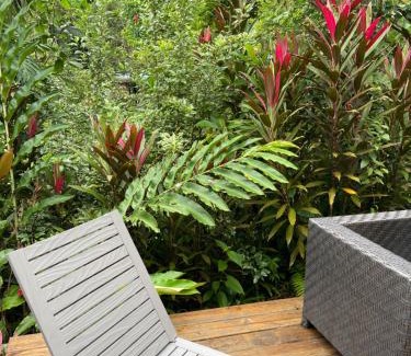 Punta Laurel House | Ponci’s Gate to Gaia Holistic Center
