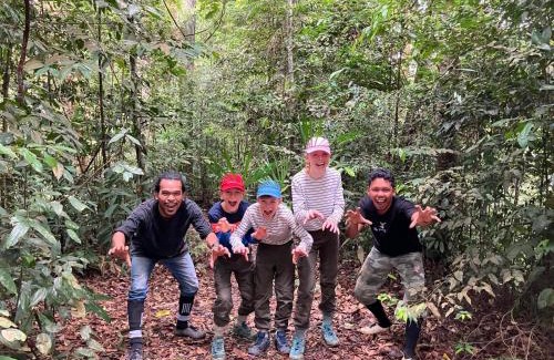 Bukit Lawang House | Pongo Guest House & only jungle trekking whit us