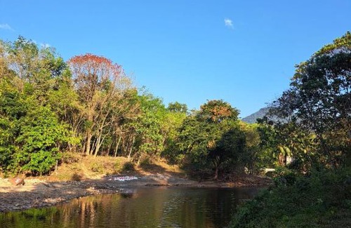 Ponmundi House | PONMUDI DALE. HOMESTAY