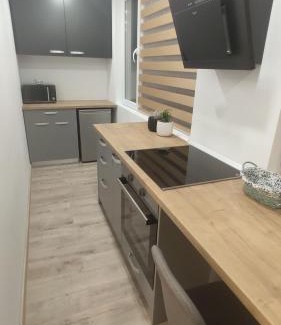 Baia Mare Apartment | Popasu din oras