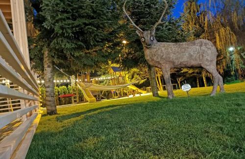 Borsa Resort | POPASUL LU' VODĂ