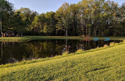 Savona Cabin | Poppy’s Cabin on Pond in Finger Lakes Region