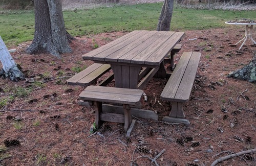 Savona Cabin | Poppy’s Cabin on Pond in Finger Lakes Region