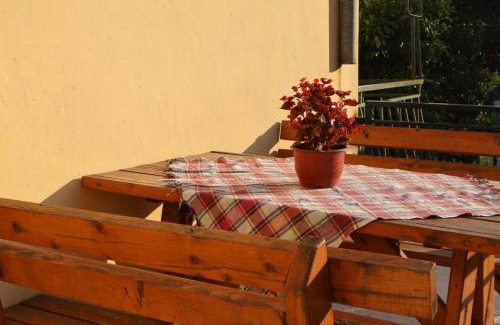 Sasovici Other | Porto Verde