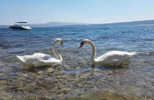 Municipality of Posedarje Apartment | Posedarje Zadar