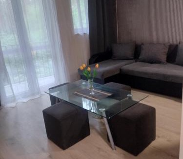 Sulejow Apartment | Positive energy 2