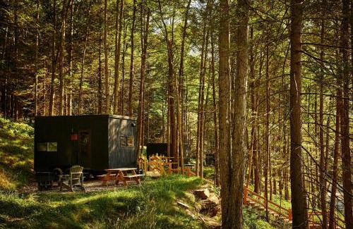 Larue Other | Postcard Cabins Piney Woods
