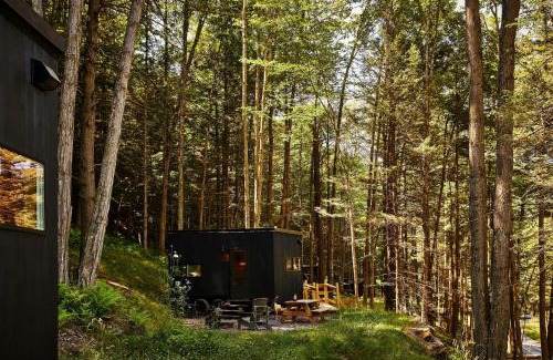 Basye Other | Postcard Cabins Shenandoah North