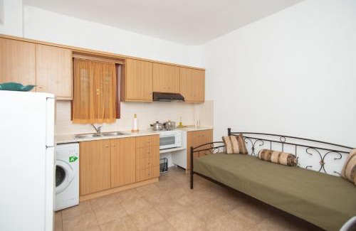 Karlovassi Apartment | Potami Mountain