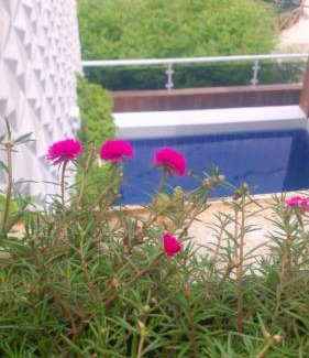 Cabaceiras Hotel | Pousada Berro do Bode