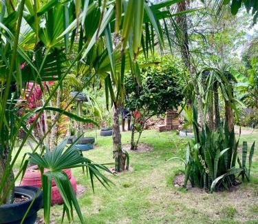 Mucuri Apartment | Pousada La bodeguita