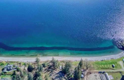 Powell River Apartment | Powell River Pine Haven