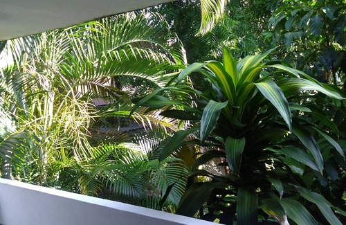 Catemaco Apartment | Practical apartment in the center