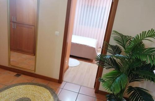 Praia de Mira Apartment | Praia de Mira - Apartamento T2
