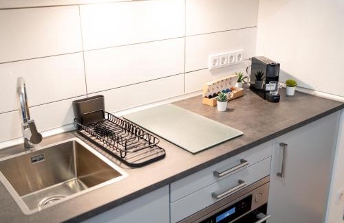 Mannheim Apartment | Premium Studio - 1 Min to HBF
