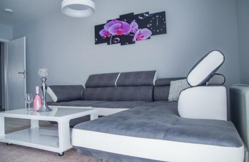 Modrica Bed & Breakfast | Prenoćište Park