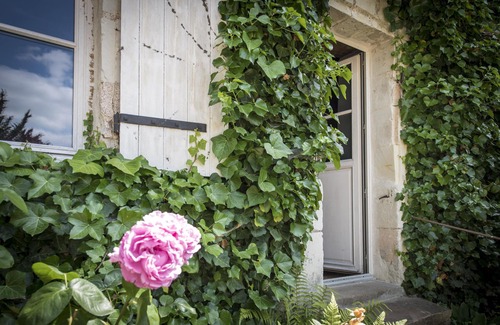 Chenehutte-Treves-Cunault House | pretty 18th century gite, bord de loire 10 km from SAUMUR
