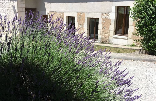 Grand-Brassac House | Pretty French Cottage with heated pool and Sauna