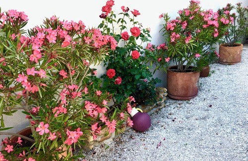 Eyragues House | Pretty house in a Provencal village