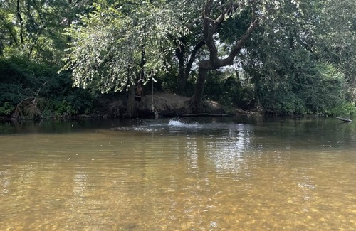 Benton RV Rental | Primitive Country Camp Spot for Eclipse April 8, 2024! 2:38 Mins Totality Site 2