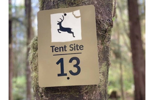 Forks RV Rental | Primitive Tent Site #13- Beautiful Forested Property