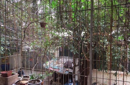 Ba Dinh Resort | Private room ∙ 2 guests