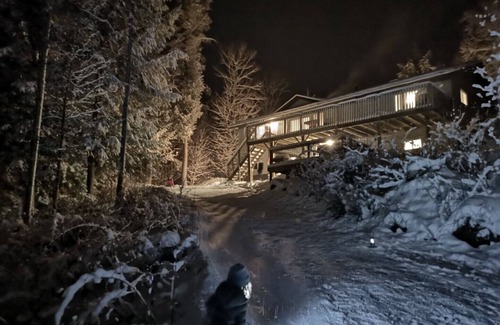 Bracebridge Cottage | Private 3.5Acres Family Cottage- 2hr from TO- HotTub- Sauna- Shallow entrance