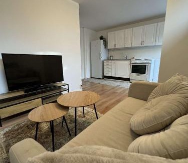 Oster Apartment | Private apartment malmö