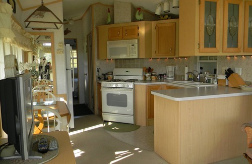 Aurora Cabin | Private Cabin On 40+ Acres. Pets Allowed